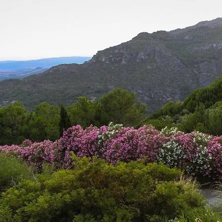 Casa Pino With Private Pool And Garden