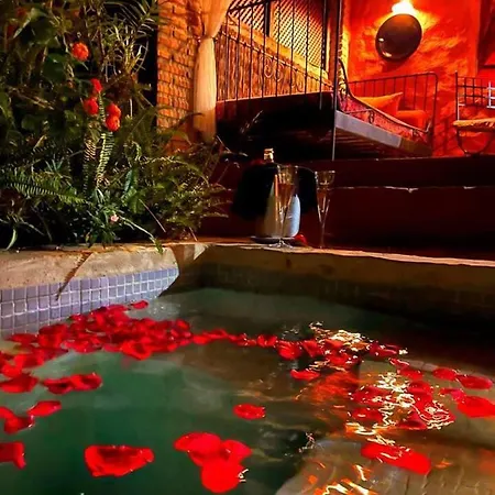 Vakantiehuis Casa Pino With Private Pool And Garden